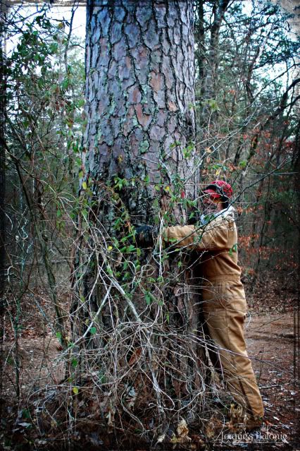 tree hugger