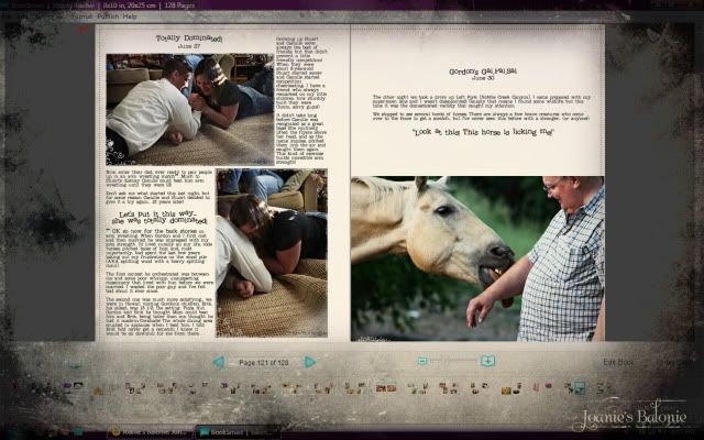 2011 blog book