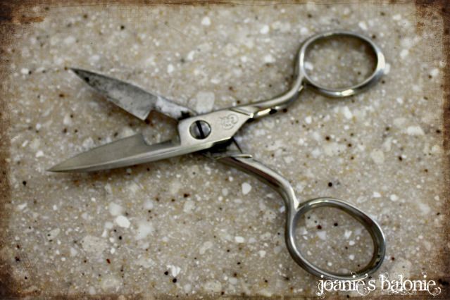 button hole  scissors