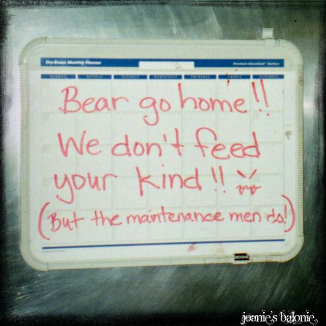 bear- go home