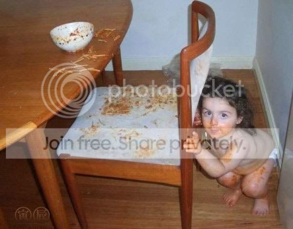 seen12.jpg