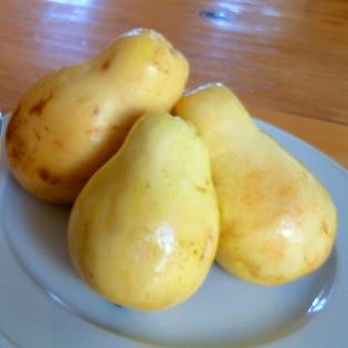 Egyptian Guava Fruits