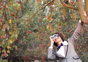 https://i262.photobucket.com/albums/ii116/e-skimo/Looking_For_Some_Apples_by_kosmodis.jpg