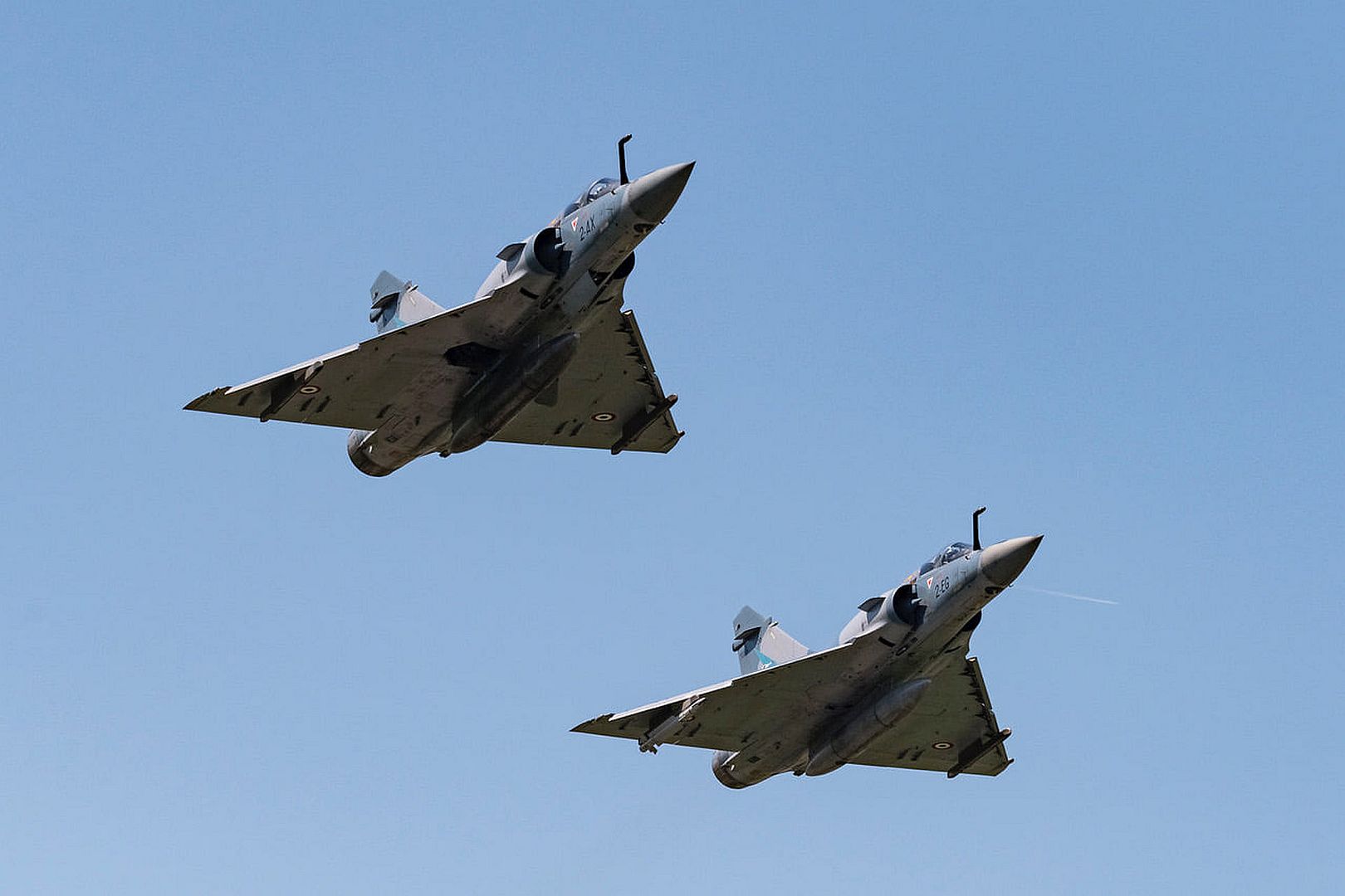 Sparrowhawk Sparrowhawk