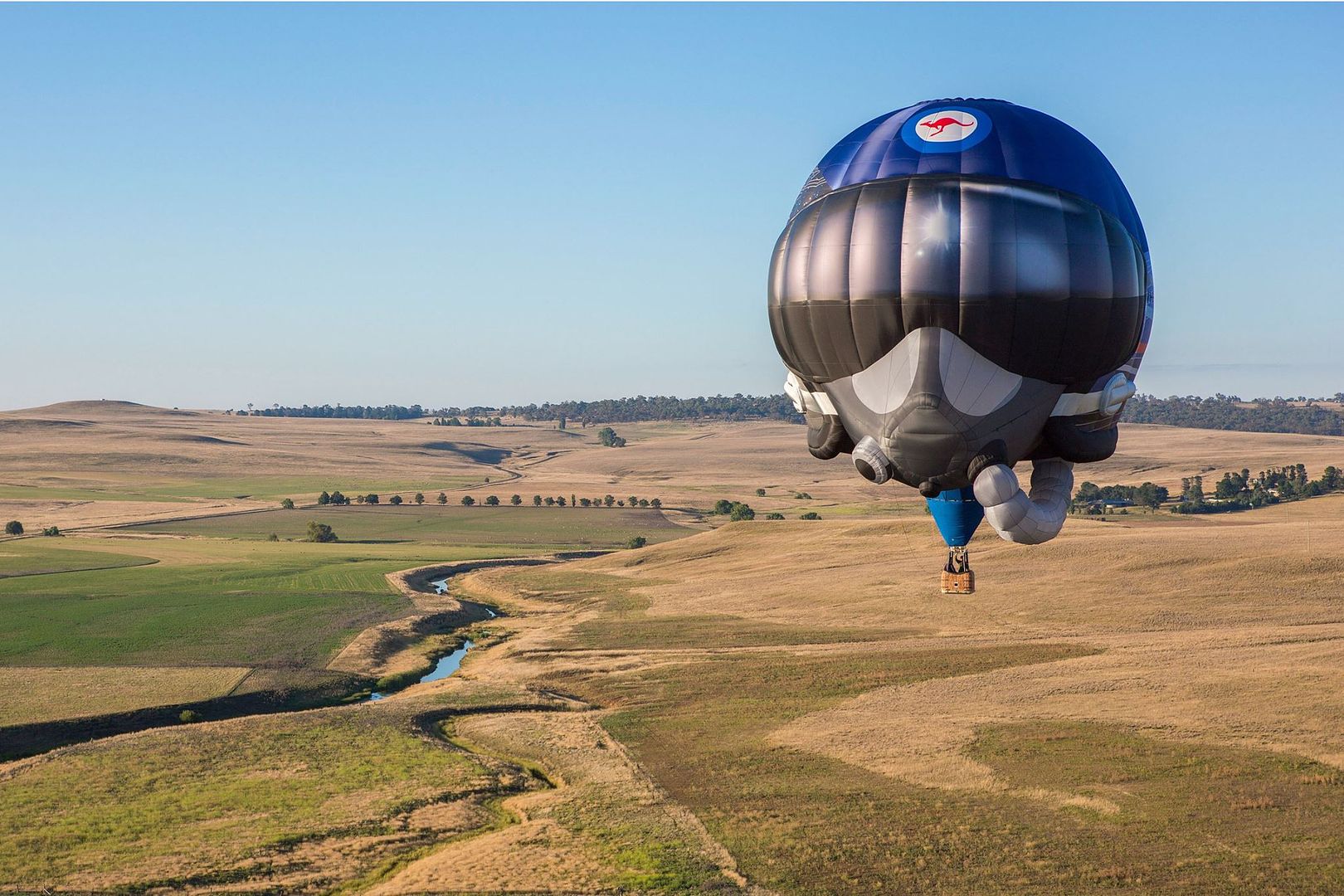 Air large. Canberra hot Air Balloon. Air Shape. Army Balloon.