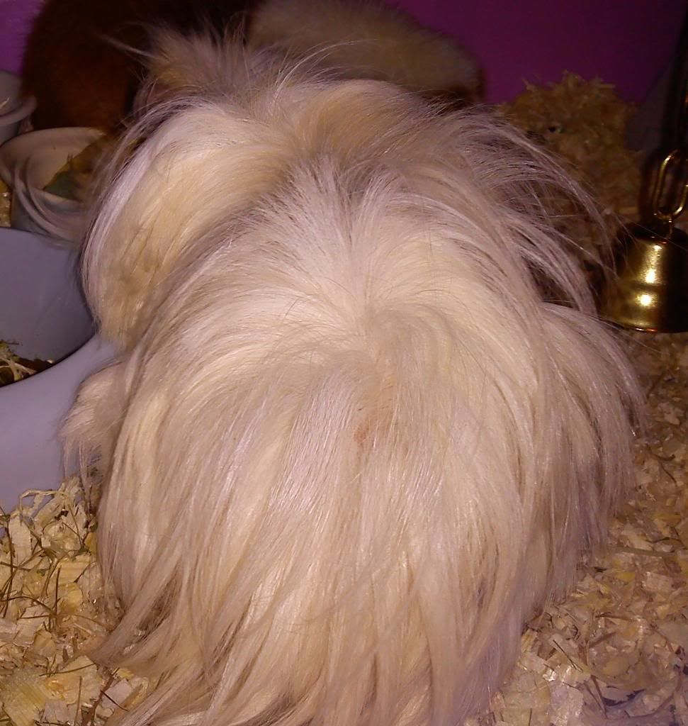 DSC00037.jpg