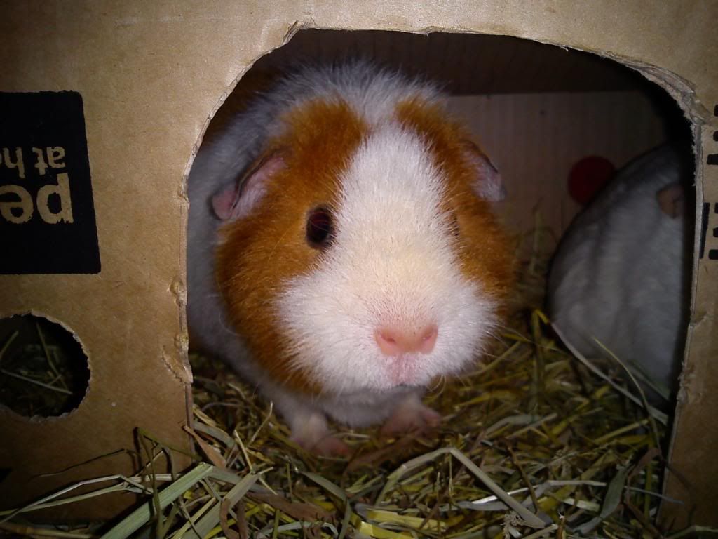 DSC00100.jpg