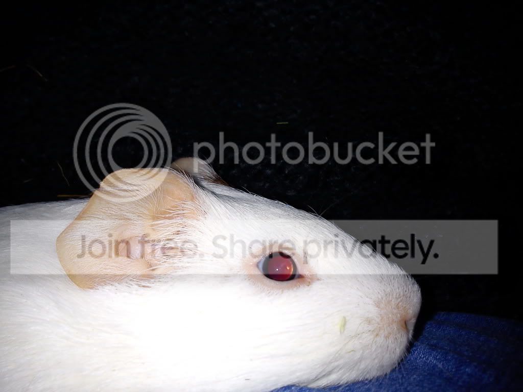 DSC00128.jpg