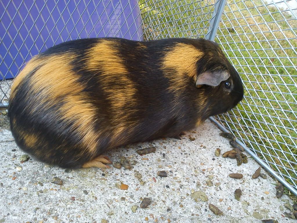 DSC00202.jpg