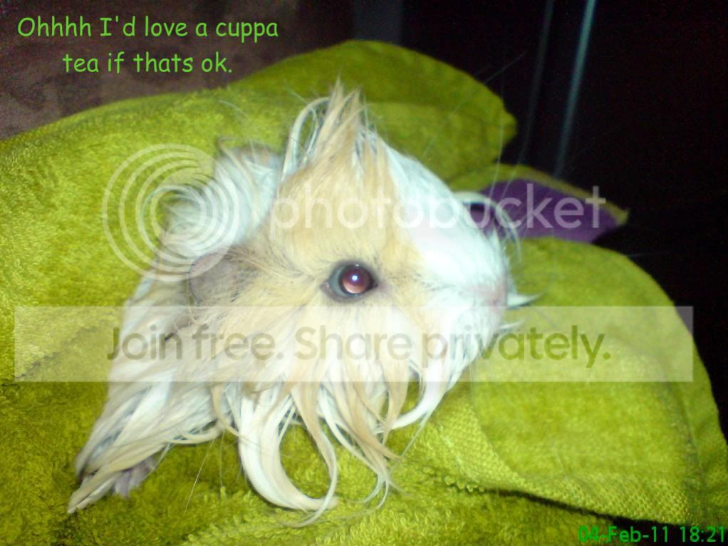 DSC03816.jpg