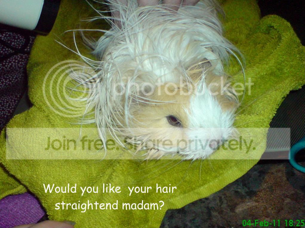 DSC03821.jpg