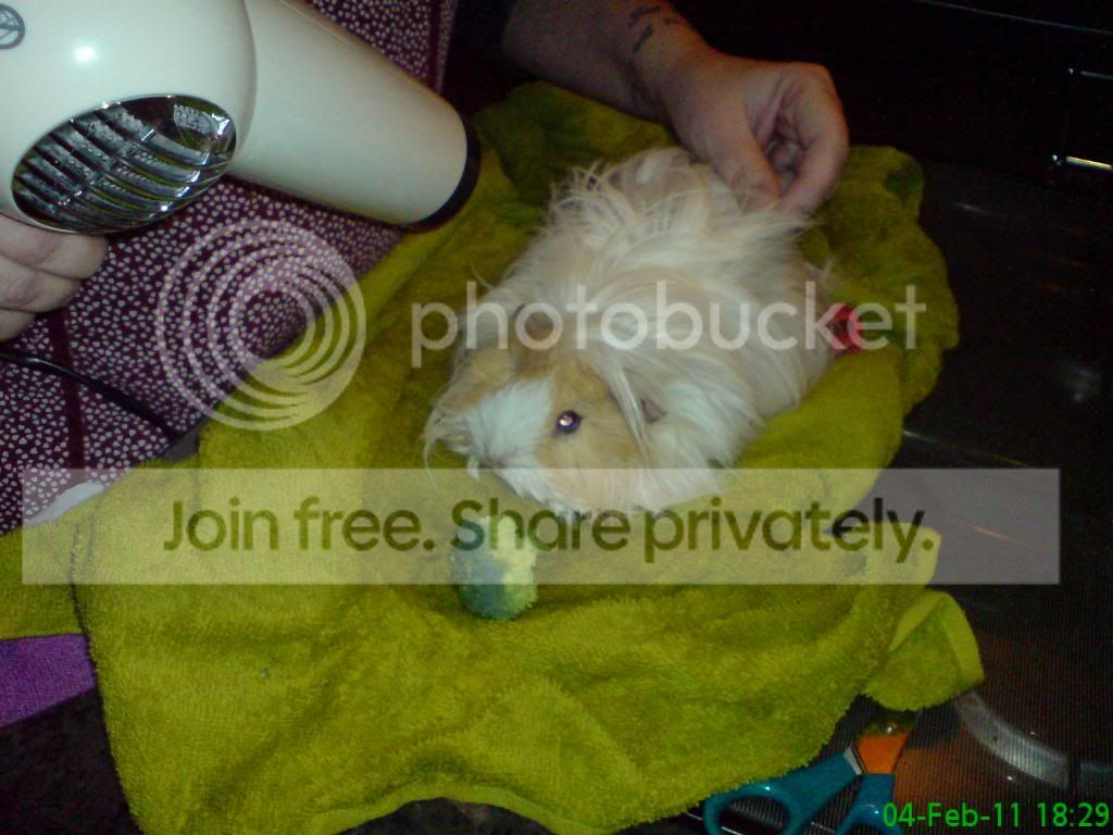 DSC03833.jpg