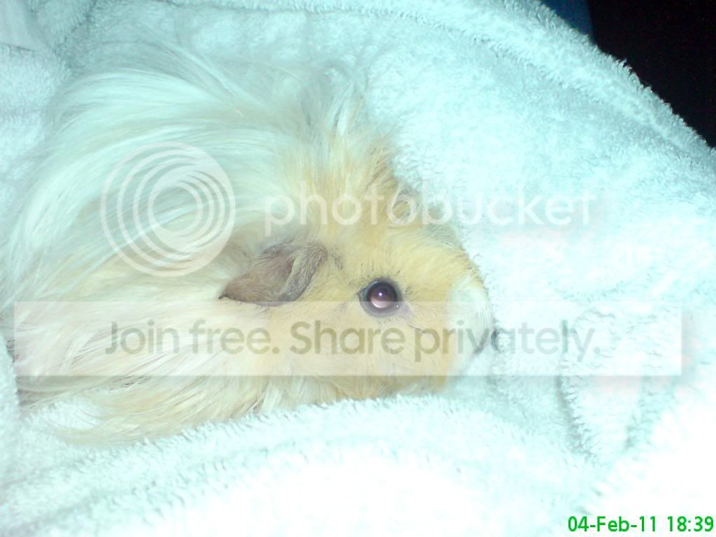 DSC03835.jpg