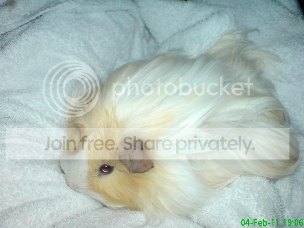 DSC03837.jpg