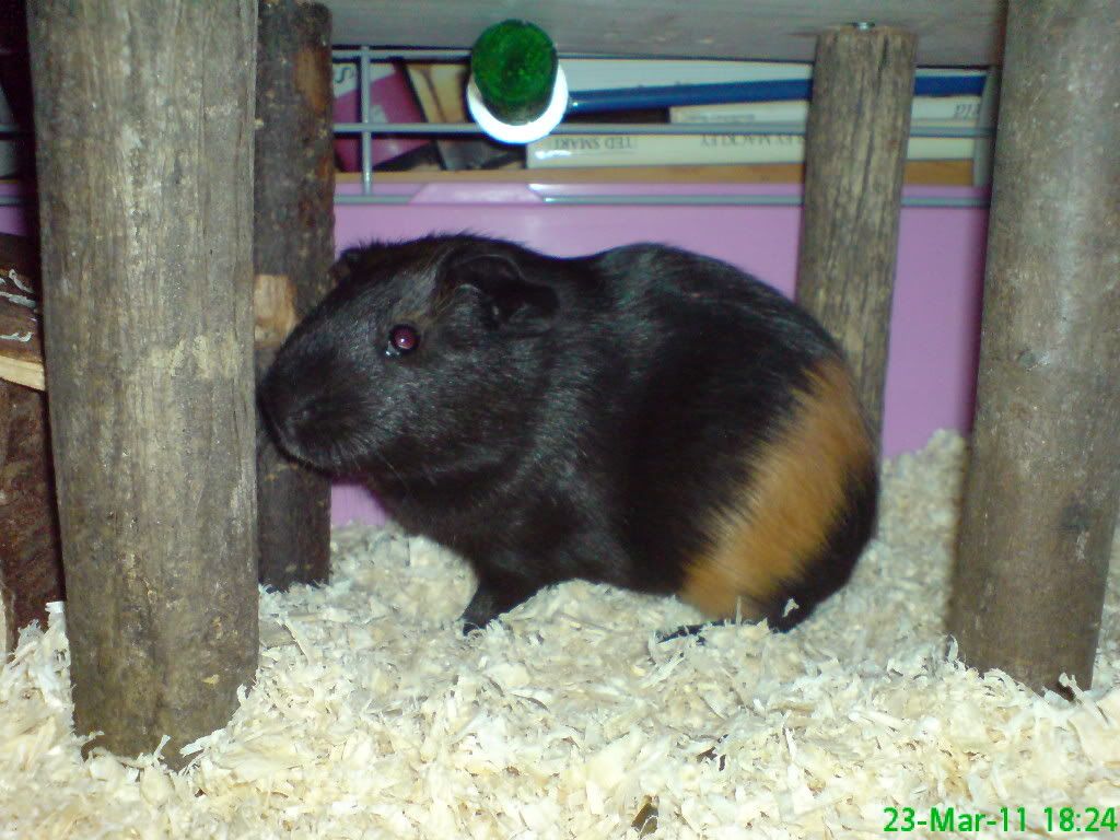 DSC03933.jpg