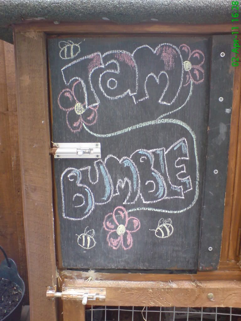 DSC03980.jpg