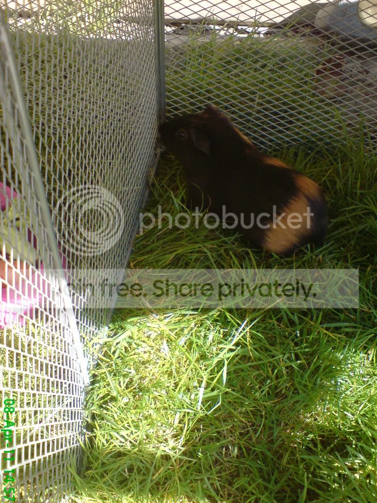 DSC03985.jpg