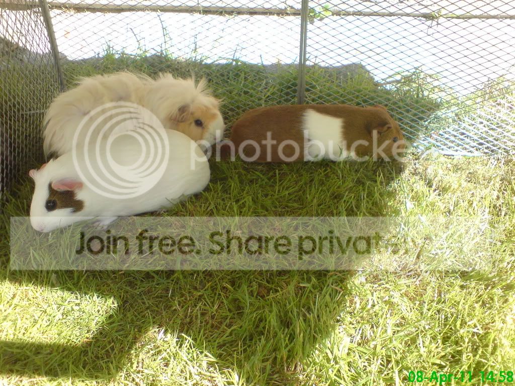 DSC03988.jpg