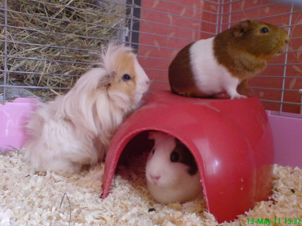 DSC04144.jpg