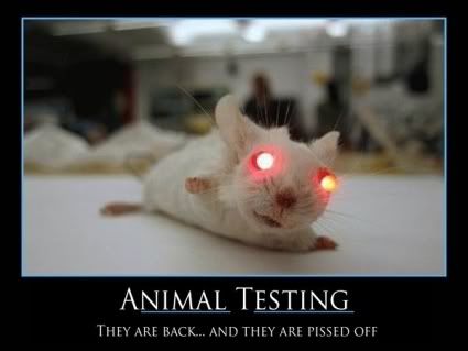 Stop animal testing!!! banner