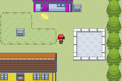 [PokeCommunity.com] ••• Pokémon Green Tree Edition •••