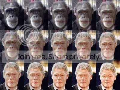 crazy008.jpg