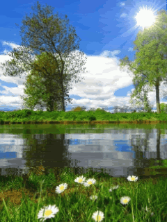 nature_7cdhl1ft.gif