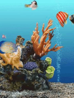 sea_uzi6zc3h.gif